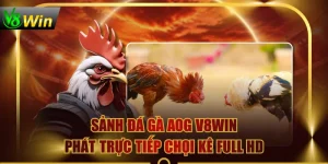 Sảnh Đá Gà AOG V8WIN Phát Trực Tiếp Chọi Kê Full HD