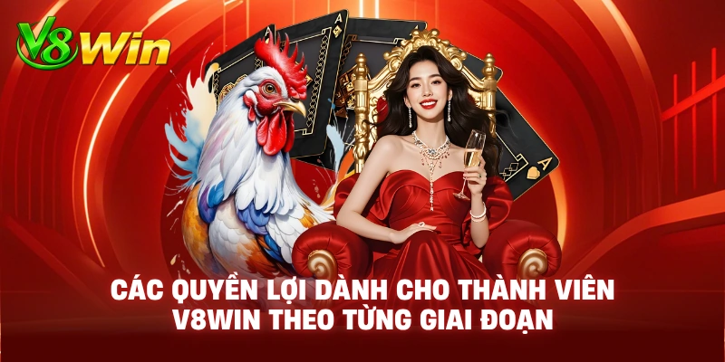 Các Quyền Lợi Dành Cho Thành Viên V8WIN Theo Từng Giai Đoạn